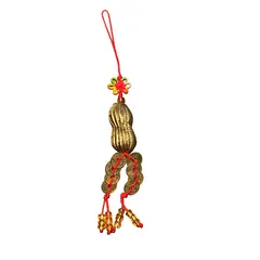 Amuleta feng shui Arahida cu monede