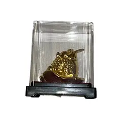 Statueta premium Broasca raioasa cu moneda in gura