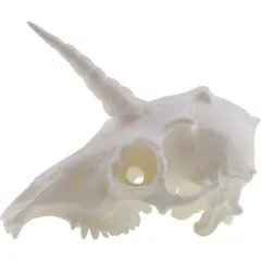Decoratiune craniu de unicorn, alba - 13cm