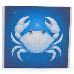 Abtibild sticker cu zodia RAC, 51mm