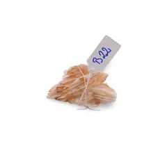 Barita, cristal unicat, B22