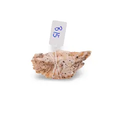 Barita, cristal unicat, B15