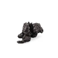 Meteorit New Campo del Cielo
, cristal unicat C18