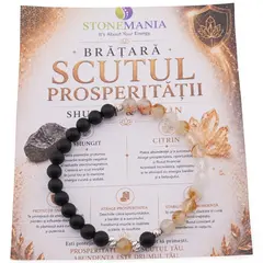 Bratara SCUTUL PROSPERITATII cu cristale naturale si Argint 925, 6mm