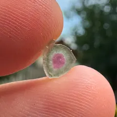 Turmalina Watermelon, cristal natural unicat, cod A45, 5x3mm, 1.27ct