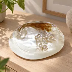 Cochilie scoica alba cu perle naturale 16cm – imagine de prezentare în context