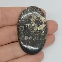 Cabochon agat turitela 46x29x6mm A49