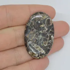 Cabochon agat turitela 39x26x6mm A70