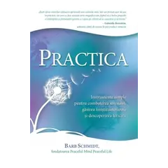 Practica - Barb Schmidt, carte