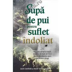 Supă de pui pentru suflet îndoliat - Jack Canfield, Mark Victor Hansen, carte