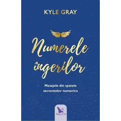 Numerele îngerilor – Kyle Gray, carte