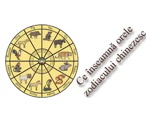 Ce înseamnă orele zodiacului chinezesc