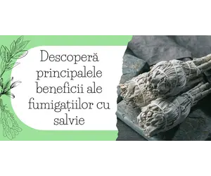 Descopera principalele beneficii ale fumigatiilor cu salvie