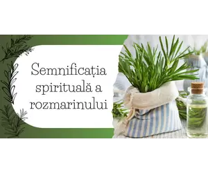 Semnificația spirituală a rozmarinului