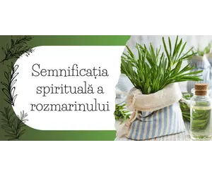 Semnificația spirituală a rozmarinului