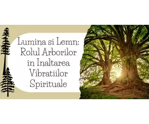 Lumina si Lemn: Rolul Arborilor in Inaltarea Vibratiilor Spirituale