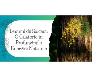 Lemnul de Salcam: O Calatorie in Profunzimile Energiei Naturale