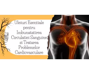 Uleiuri Esentiale pentru Imbunatatirea Circulatiei Sanguine si Tratarea Problemelor Cardiovasculare