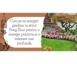 Cum sa va aranjati gradina in stilul Feng Shui pentru o energie pozitiva si o relaxare mai profunda