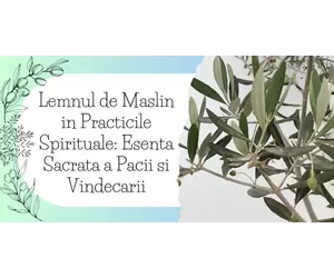 Lemnul de Maslin in Practicile Spirituale: Esenta Sacrata a Pacii si Vindecarii