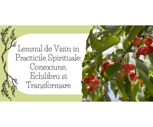 Lemnul de Visin in Practicile Spirituale: Conexiune, Echilibru si Transformare