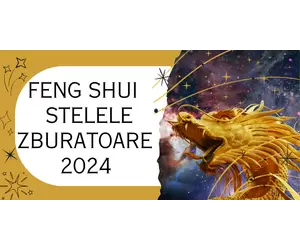 Feng Shui - Stelele Zburatoare  - 2024