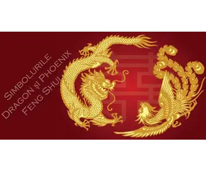 Simbolurile Dragon și Phoenix Feng Shui