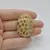 Cabochon Coral Fosilic 39x28x7mm C65