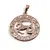 Pandantiv din cupru placat cu aur roz 18k rotund pentru zodia Capricorn, 25mm