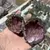 Geoda cuart de Maroc, mare - 7-9cm, verde cu roz, imagine 2