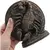Decoratiune gravata zodia Scorpion cu accente aurii, 13,5cm, imagine 4