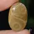 Cabochon coral fosilic 33x21x7mm K29