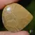 Cabochon coral fosilic 33x32x5mm K17