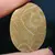 Cabochon coral fosilic 36x26x5mm K43