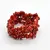 Bratara coral rosu chipsuri pe elastic