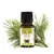 Ulei esential de Pin silvestru Bio, Mayam 10ml