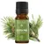 Ulei esential de Pin silvestru Bio, Mayam 10ml, imagine 2