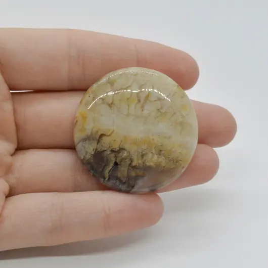 Cabochon Agat Dentritic 38x38x5mm C18