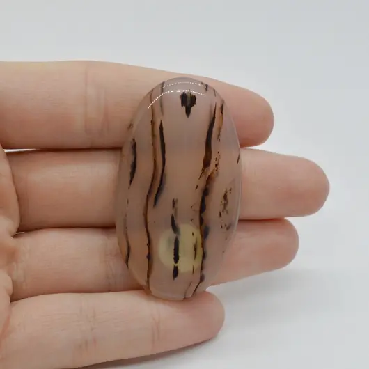 Cabochon Agat Montana 47x27x6mm C19