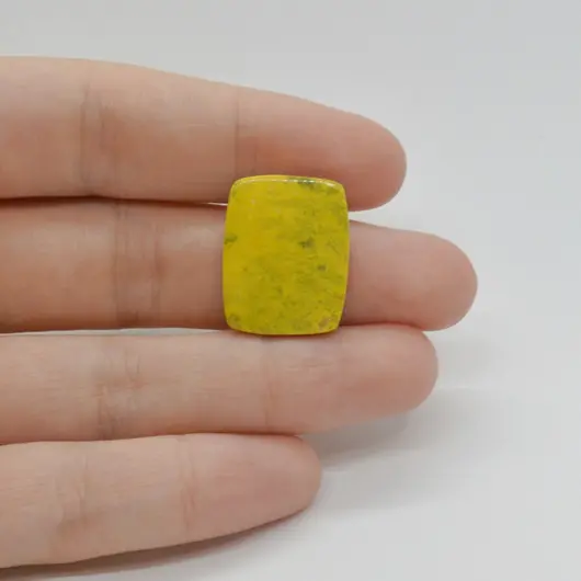 Cabochon Jasp Bumble Bee 21x16x4mm C123