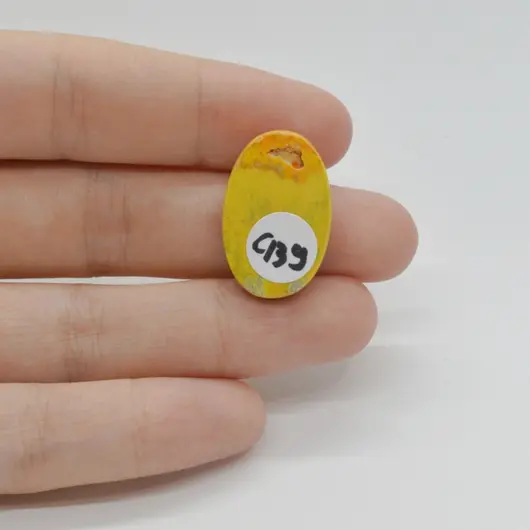 Cabochon Jasp Bumble Bee 24x16x5mm C139, imagine 2