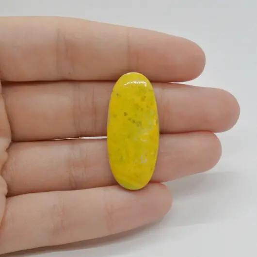 Cabochon Jasp Bumble Bee 34x15x4mm C85