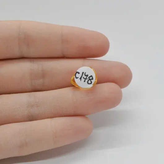Cabochon Citrin 13x10x6mm C178, imagine 2