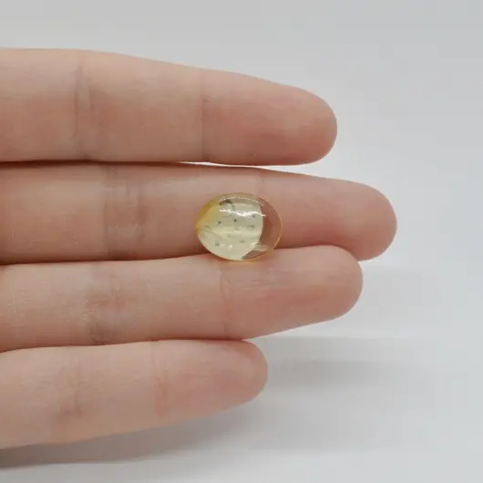 Cabochon Citrin 14x11x4mm C337
