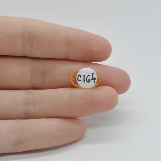 Cabochon Citrin 14x9x4mm C164, imagine 2