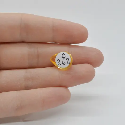 Cabochon Citrin 15x11x5mm C262, imagine 2