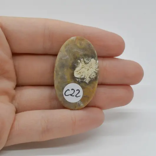 Cabochon Coral Fosilic 38x23x7mm C22, imagine 2