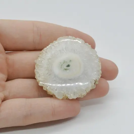 Cabochon Cuart Solar Felie 41x39x7mm C70