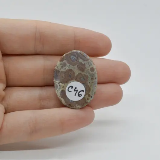 Cabochon Jasp Asteroid 31x23x6mm C46, imagine 2