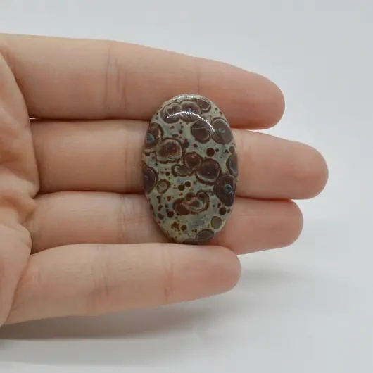 Cabochon Jasp Asteroid 34x22x6mm C37